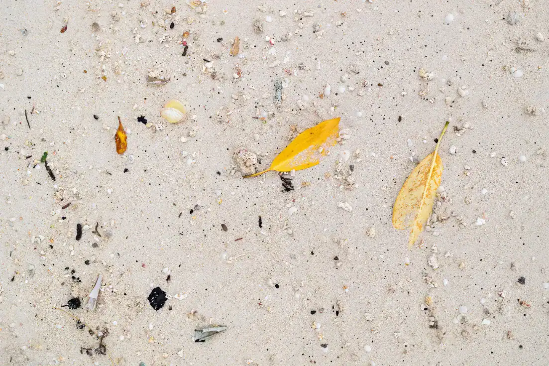 Beach scene