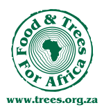 FTFA LOGO – with website – all platforms (1) FTFA LOGO - with website - all platforms (1)